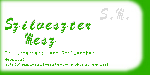 szilveszter mesz business card